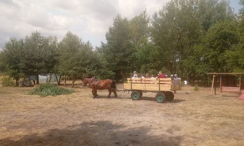 07.06.20| Znów będą wakacje