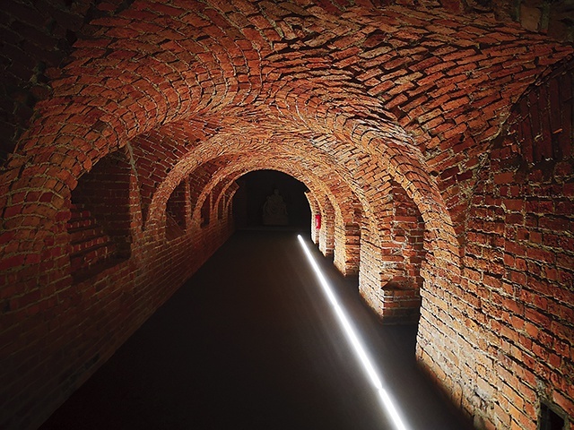 Muzeum księgi powstanie w niezwykle klimatycznych podziemiach budynku.