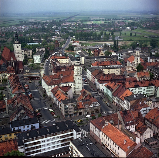 Zostań w Polsce – Oleśnica