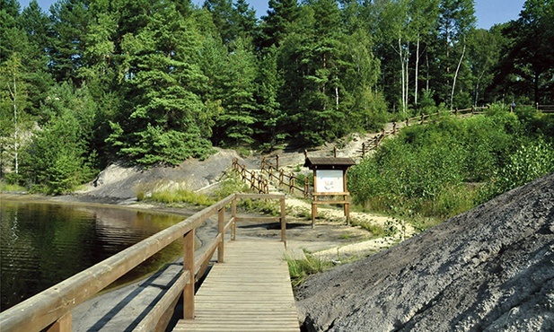 Zostań w Polsce – Łęknica