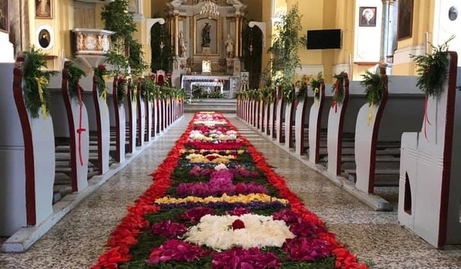Dywan z kwiatów w głogowskiej parafii