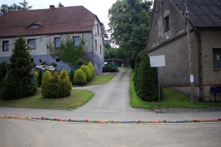 Procesja Bożego Ciała po kwietnych dywanach w Kluczu