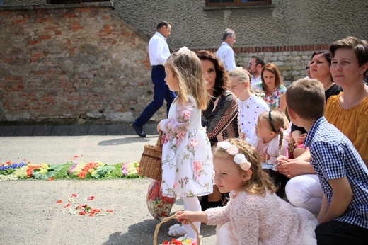 Procesja Bożego Ciała po kwietnych dywanach w Kluczu