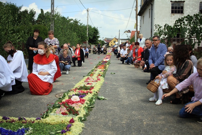 Procesja Bożego Ciała po kwietnych dywanach w Kluczu