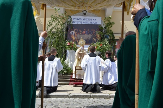 Sandomierz. Procesja Bożego Ciała