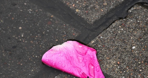 Koszalińska procesja Bożego Ciała inaczej.