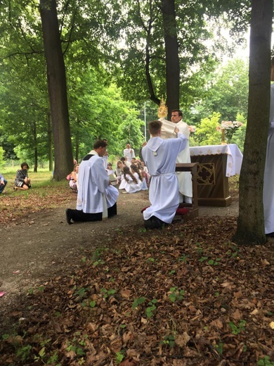 Świdnica. Parafia pw. Najświętszego Serca Pana Jezusa