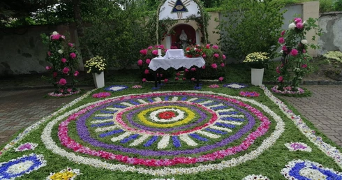 Kwietne ołtarze w Zarębie