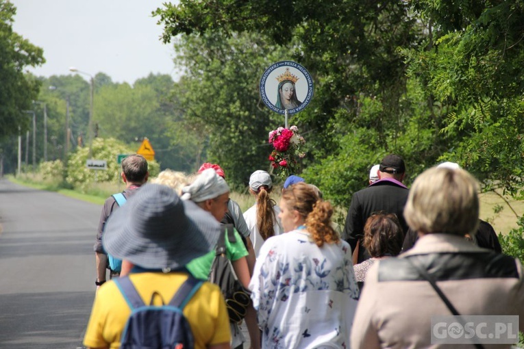 Krosno Odrzańskie. Parafialna pielgrzymka w intencji powołań