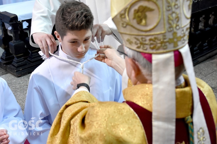 Promocja nowych lektorów i ceremoniarzy w diecezji świdnickiej