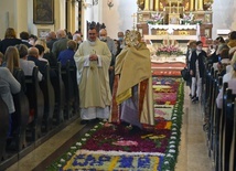 Codziennie w czasie oktawy Bożego Ciała kapłani niosą Chrystusa idąc po kwietnym dywanie.