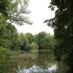 Park Pawłowicki we Wrocławiu - pomysł na niedzielny spacer