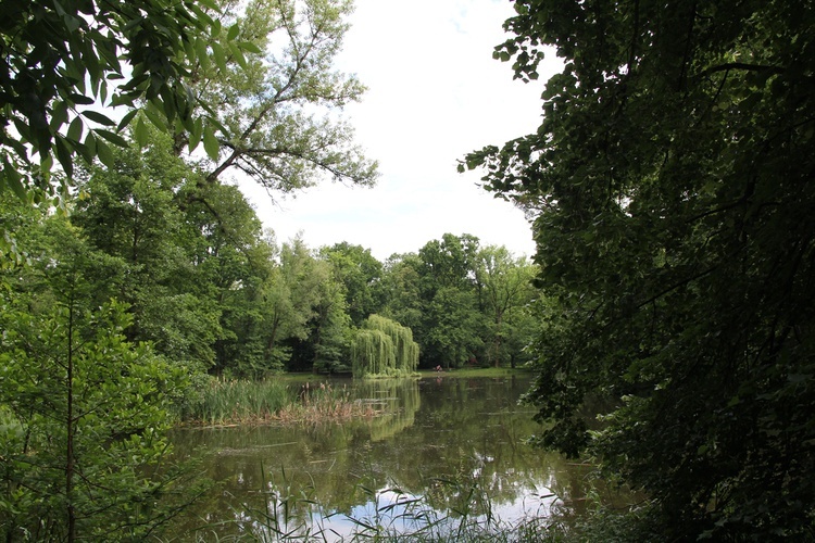 Park Pawłowicki we Wrocławiu - pomysł na niedzielny spacer