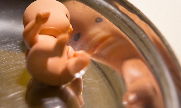 Rekordowa liczba aborcji w Anglii