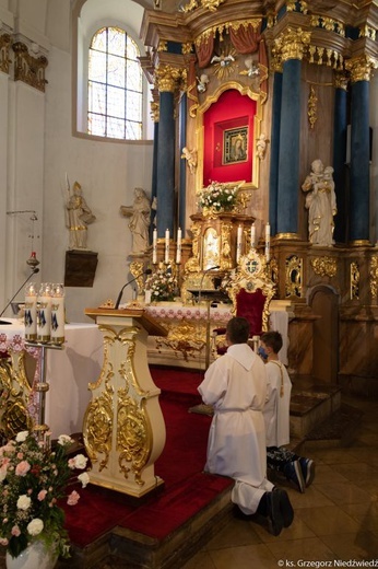 Pielgrzymka chorych i cierpiących oraz służby zdrowia do Rokitna