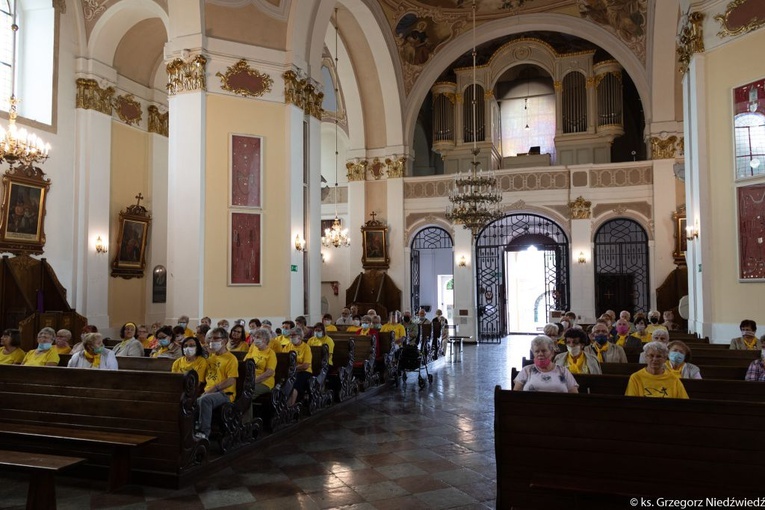 Pielgrzymka chorych i cierpiących oraz służby zdrowia do Rokitna
