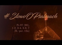 Niech sprawiedliwi weselą się w Panu