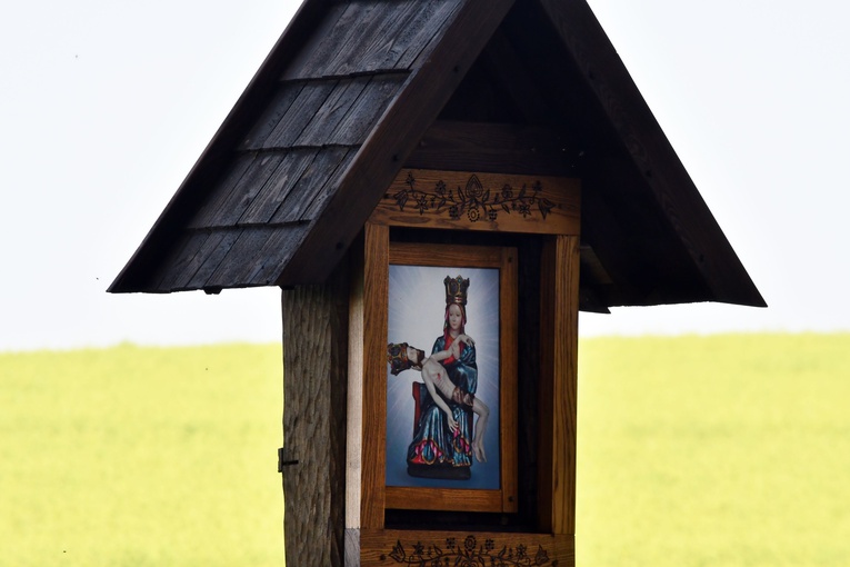 Błogosławieństwo kapliczki w miejscu śmierci ks. Wójtowicza