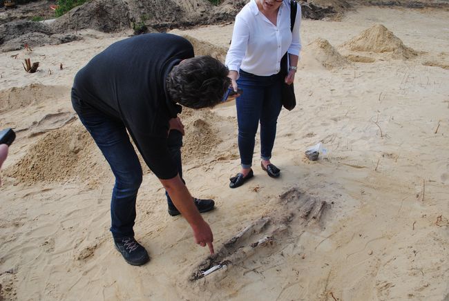 Cmentarzysko w Jeżowem