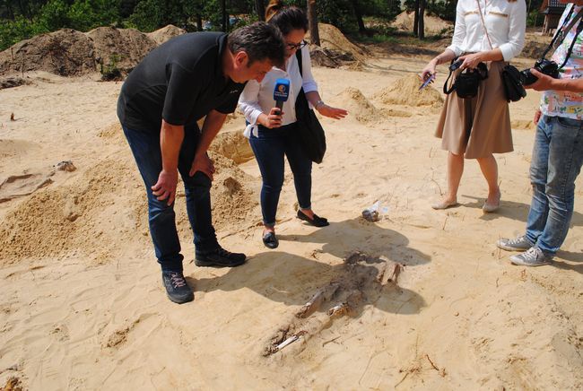 Cmentarzysko w Jeżowem