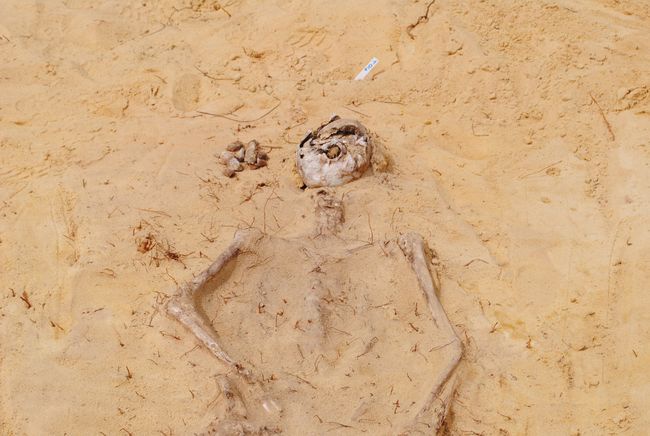 Cmentarzysko w Jeżowem