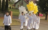 Borowa k. Mielca: Sto papieskich balonów