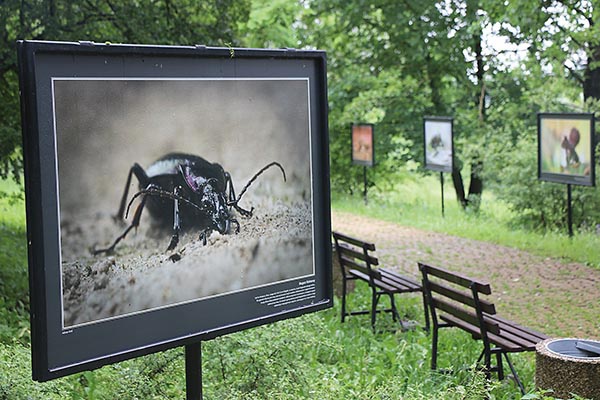 Wśród alejek można podziwiać wystawę prac fotografa przyrody Adriana Króla.