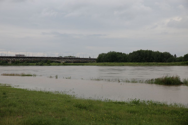 Duża woda na Wiśle w Sandomierzu 