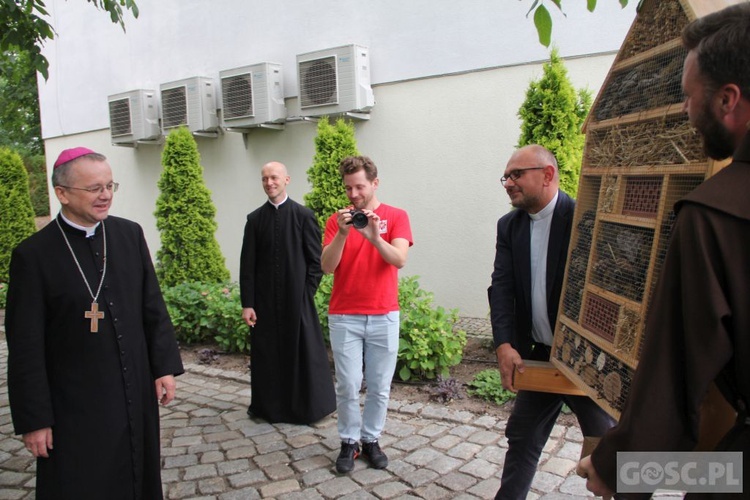 Hotel dla owadów przy Domu Biskupim w Zielonej Górze