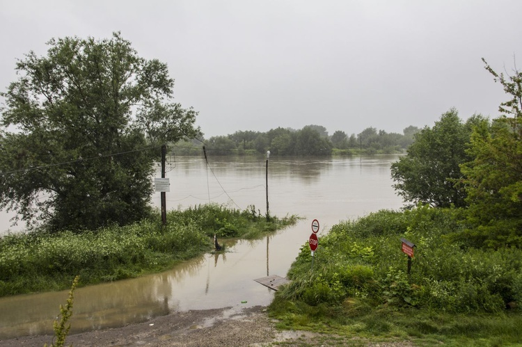 Wisła w Tarnobrzegu przybrała