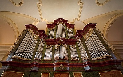 Wołowskie organy to doskonały instrument 23-głosowy zaprojektowany i przebudowany przez świdnicką firmę organmistrzowską Schlag & Söhne w 1919 roku.