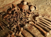 W jednej z krypt odkryto porozrzucane ludzkie kości.