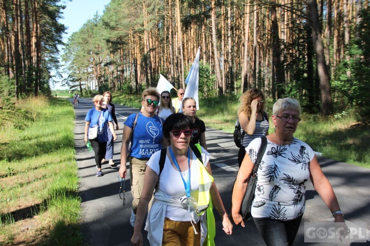 Pielgrzymka w pierwszą sobotę miesiąca do sanktuarium Matki Bożej Rokitniańskiej