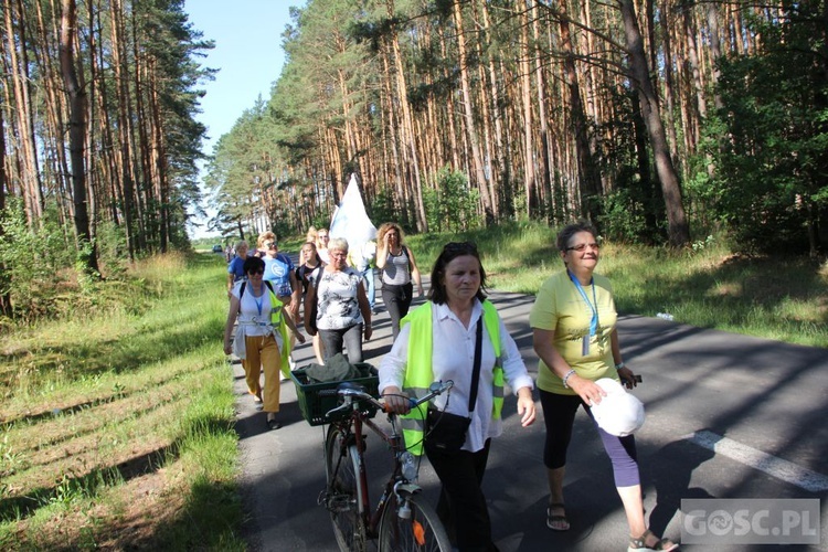 Pielgrzymka w pierwszą sobotę miesiąca do sanktuarium Matki Bożej Rokitniańskiej