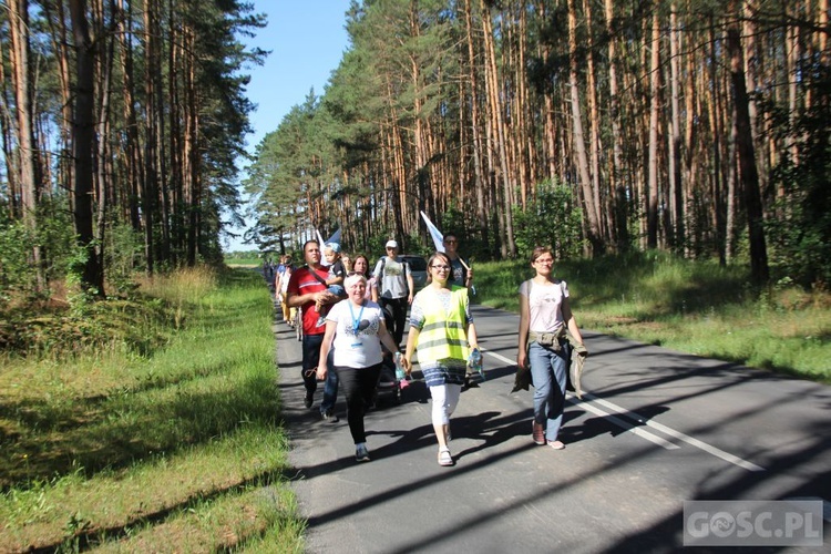 Pielgrzymka w pierwszą sobotę miesiąca do sanktuarium Matki Bożej Rokitniańskiej