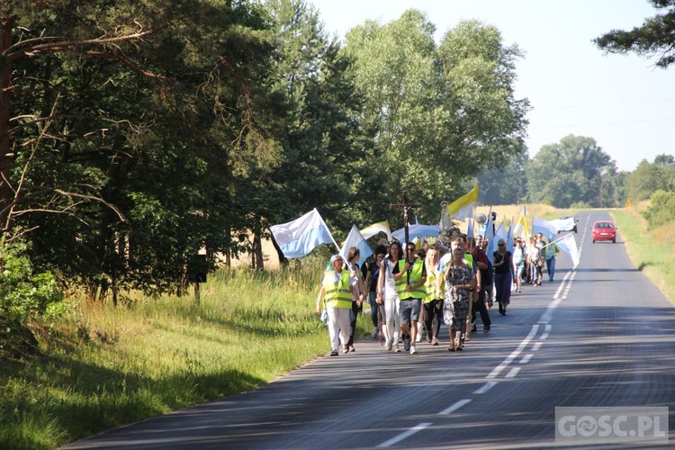 Pielgrzymka w pierwszą sobotę miesiąca do sanktuarium Matki Bożej Rokitniańskiej