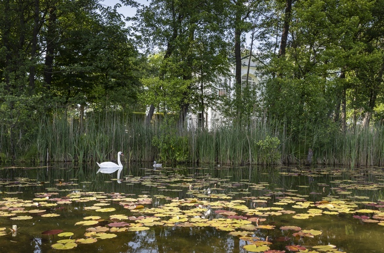 Cykl wakacyjny GN - Sanktuarium w Studzienicznej