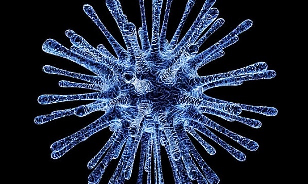 Związek z alg lepiej blokuje koronawirusa w niż remdesiwir