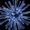18 mutacji koronawirusa u pacjentki z osłabioną odpornością