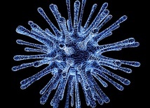 Kto zakaza się częściej wirusem SARS-CoV-2?