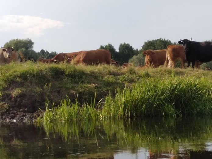 Kajakiem dla Domu Samotnej Matki