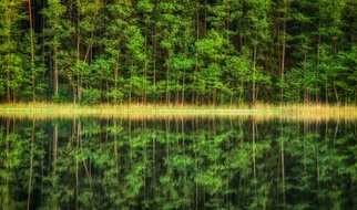 18.07.2020| Polska kamperem