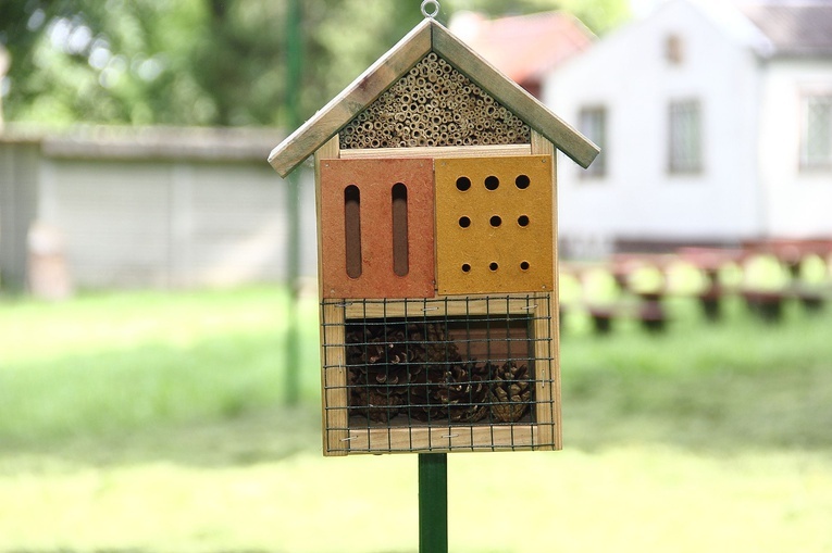 Park św. Franciszka w Tymieniu