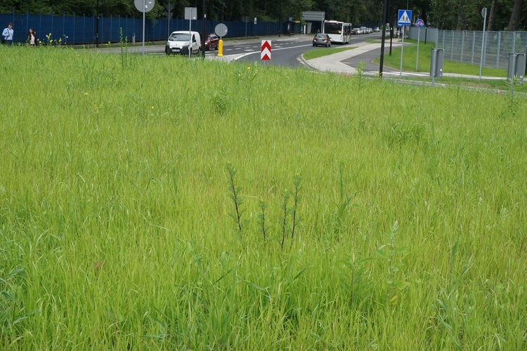 Rondo przy zabrzańskim stadionie