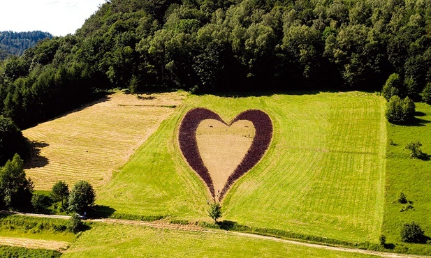 Serce z krzewów na łące nad Jeziorem Myczkowieckim. Właściciel pola zadedykował je swej zmarłej żonie.
16.07.2020 Solina