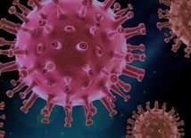 Stworzono sztucznego wirusa SARS-CoV-2