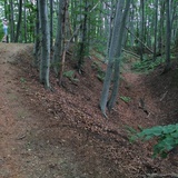 Grodzisko w Lubomi
