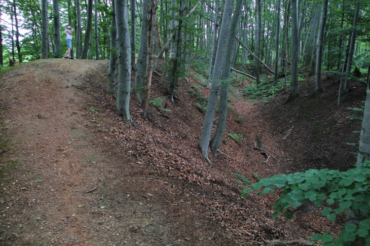 Grodzisko w Lubomi