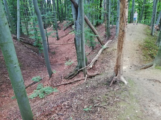 Grodzisko w Lubomi