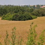 Schrony bojowe - Piekary Śl. i Dobieszowice